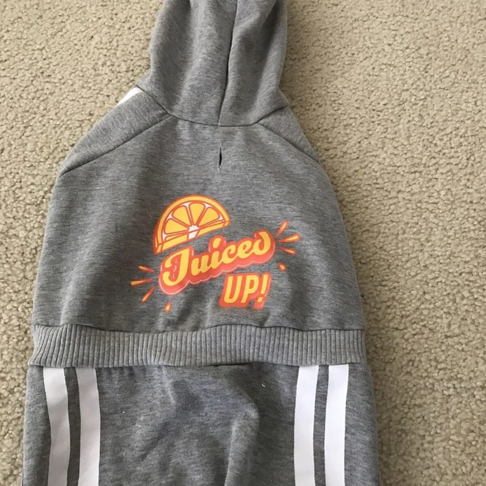 Top Paw Dog gray track suit 